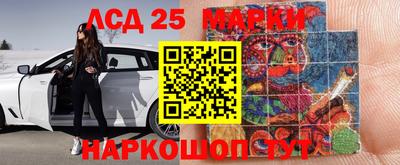 стаф Будённовск