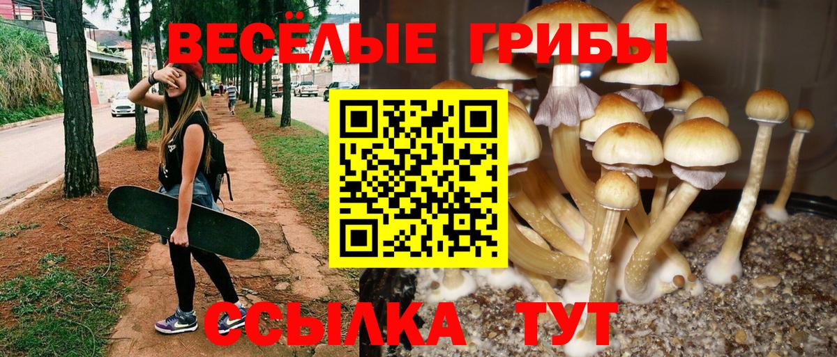 Галлюциногенные грибы мицелий Чита