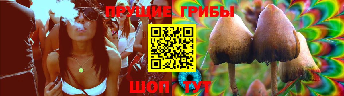 Галлюциногенные грибы GOLDEN TEACHER  Вход с VPN  где можно купить   Чита 